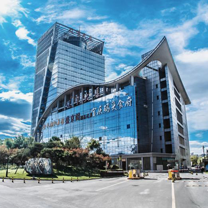 �Ƶ�����